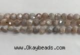 CMS1788 15.5 inches 8mm faceted coin AB-color moonstone beads