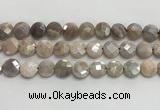 CMS1790 15.5 inches 12mm faceted coin AB-color moonstone beads