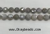 CMS1820 15.5 inches 16mm faceted coin AB-color moonstone beads