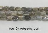 CMS1825 15.5 inches 12*16mm faceted rectangle AB-color moonstone beads