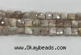 CMS1828 15.5 inches 12*12mm faceted square AB-color moonstone beads