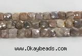 CMS1830 15.5 inches 14*14mm faceted square AB-color moonstone beads