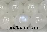 CMS1904 15.5 inches 12mm round white moonstone gemstone beads