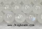 CMS1906 15.5 inches 6mm round white moonstone gemstone beads