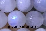 CMS1923 15.5 inches 10mm round white moonstone gemstone beads