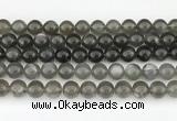 CMS2022 15.5 inches 10mm round black moonstone beads wholesale