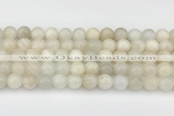 CMS2028 15.5 inches 8mm round white moonstone beads wholesale