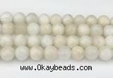 CMS2030 15.5 inches 12mm round white moonstone beads wholesale