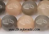 CMS2072 15 inches 10mm round moonstone gemstone beads