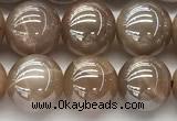 CMS2082 15 inches 10mm round AB-color moonstone beads