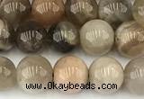 CMS2087 15 inches 8mm round moonstone gemstone beads