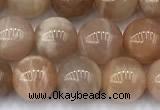 CMS2111 15 inches 8mm round moonstone beads