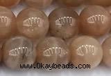 CMS2112 15 inches 9mm round moonstone beads