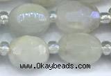 CMS2130 15 inches 8*10mm - 9*12mm faceted nuggets AB-color moonstone beads