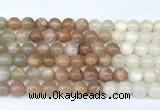 CMS2166 15 inches 8mm round rainbow moonstone beads