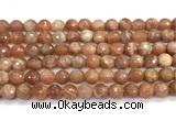 CMS2281 15 inches 8mm faceted round moonstone beads