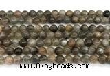 CMS2287 15 inches 6mm round grey moonstone beads wholesale