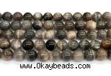 CMS2289 15 inches 10mm round grey moonstone beads wholesale