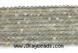 CMS2293 15 inches 4mm round grey moonstone beads wholesale