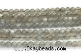 CMS2294 15 inches 6mm round grey moonstone beads wholesale