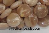 CMS23 15.5 inches 14mm flat round moonstone gemstone beads wholesale