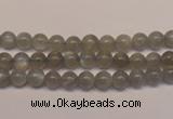 CMS300 15.5 inches 5mm round natural grey moonstone beads wholesale