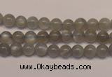 CMS302 15.5 inches 7mm round natural grey moonstone beads wholesale