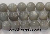 CMS306 15.5 inches 11mm round natural grey moonstone beads wholesale