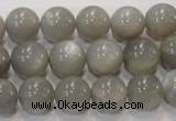 CMS307 15.5 inches 12mm round natural grey moonstone beads wholesale