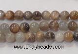 CMS310 15.5 inches 6mm round natural moonstone beads wholesale