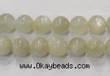 CMS311 15.5 inches 6mm round natural moonstone beads wholesale