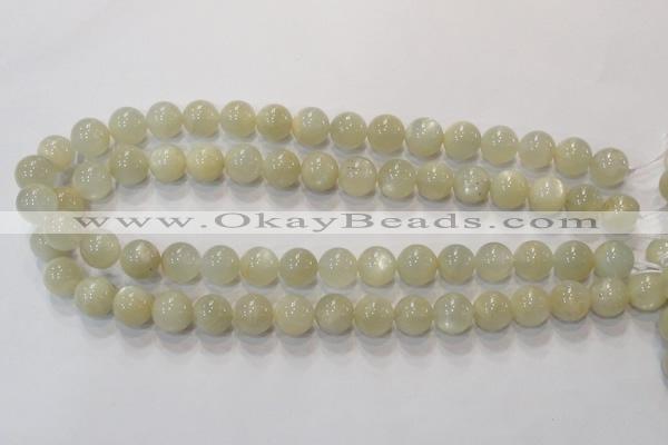 CMS312 15.5 inches 8mm round natural moonstone beads wholesale