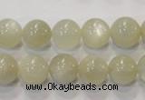 CMS313 15.5 inches 10mm round natural moonstone beads wholesale