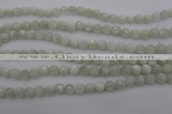 CMS453 15.5 inches 8mm faceted round white moonstone gemstone beads