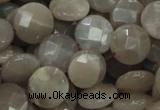 CMS46 15.5 inches 14mm faceted coin moonstone gemstone beads