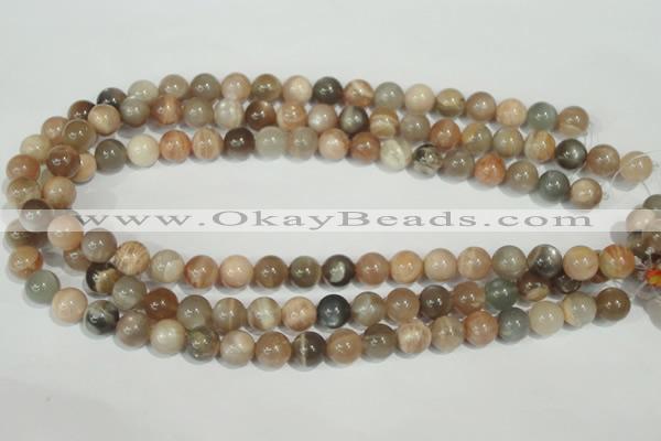 CMS504 15.5 inches 10mm round moonstone beads wholesale