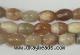 CMS511 15.5 inches 8*12mm rice moonstone beads wholesale