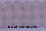 CMS642 15.5 inches 8mm round white moonstone beads wholesale