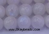 CMS644 15.5 inches 12mm round white moonstone beads wholesale