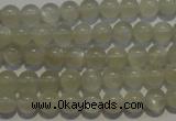 CMS651 15.5 inches 6mm round grey moonstone beads wholesale