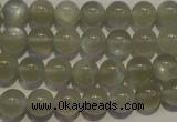 CMS652 15.5 inches 8mm round grey moonstone beads wholesale