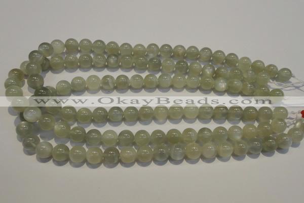 CMS653 15.5 inches 10mm round grey moonstone beads wholesale