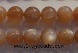 CMS734 15.5 inches 12mm round A grade natural peach moonstone beads