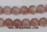 CMS754 15.5 inches 10mm round natural moonstone beads wholesale