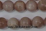 CMS757 15.5 inches 15mm round natural moonstone beads wholesale