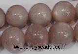 CMS759 15.5 inches 17mm round natural moonstone beads wholesale