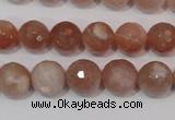 CMS765 15.5 inches 10mm faceted round natural moonstone beads