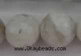 CMS805 15.5 inches 14mm faceted round white moonstone beads