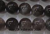 CMS853 15.5 inches 10mm round natural black moonstone beads