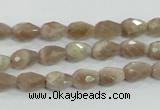 CMS87 15.5 inches 6*9mm faceted teardrop moonstone gemstone beads